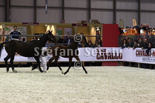 PAN CARRE_MILANO_2010_SS3_8377.jpg